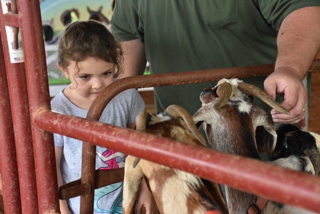mimosa farm 2019 133 (1024x683).jpg
